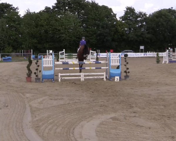 Reitturnier Menden 2016