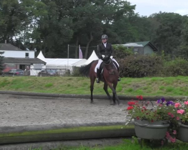 Reitturnier Datteln 2016