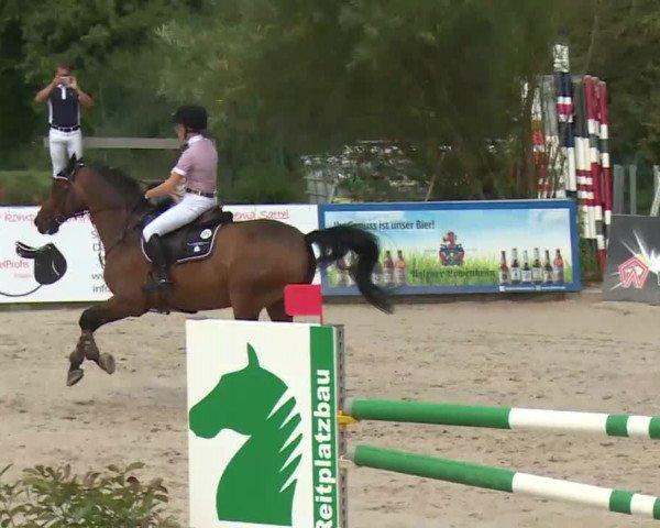 HORSE classics Killingen 2016