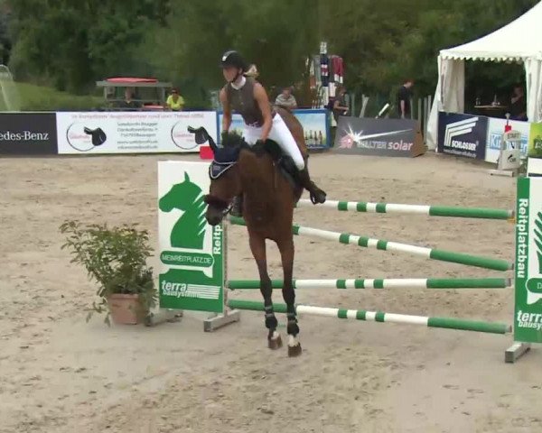 HORSE classics Killingen 2016