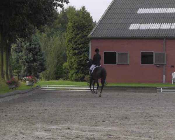 Reitturnier Datteln 2016