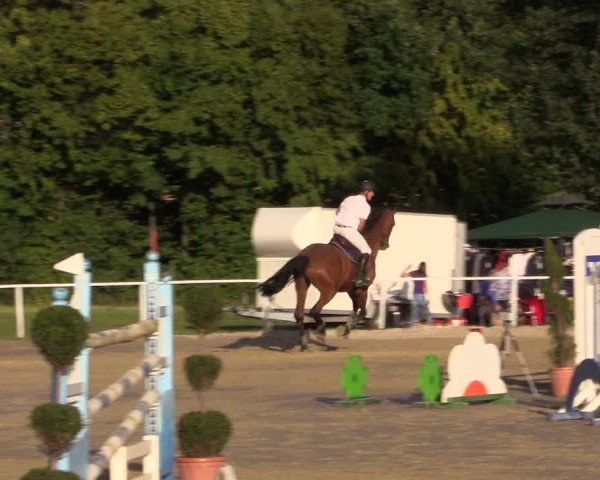 Reitturnier Menden 2016