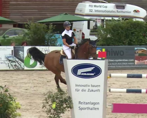 HORSE classics Killingen 2016