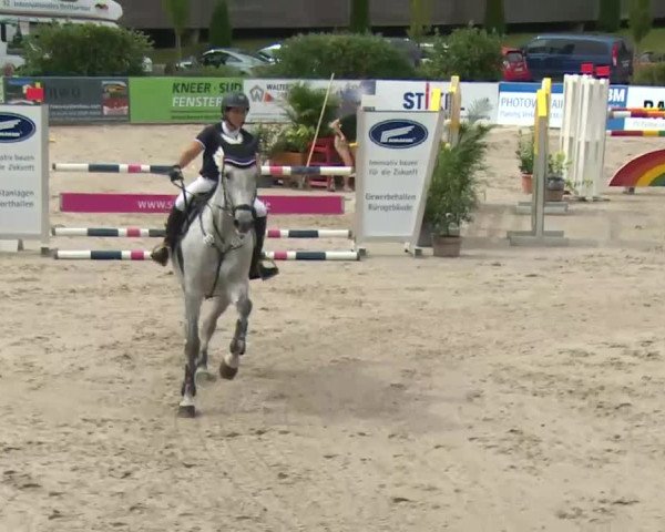 HORSE classics Killingen 2016