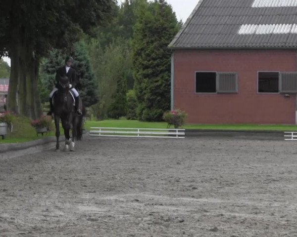 Reitturnier Datteln 2016