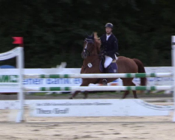 Reitturnier Menden 2016