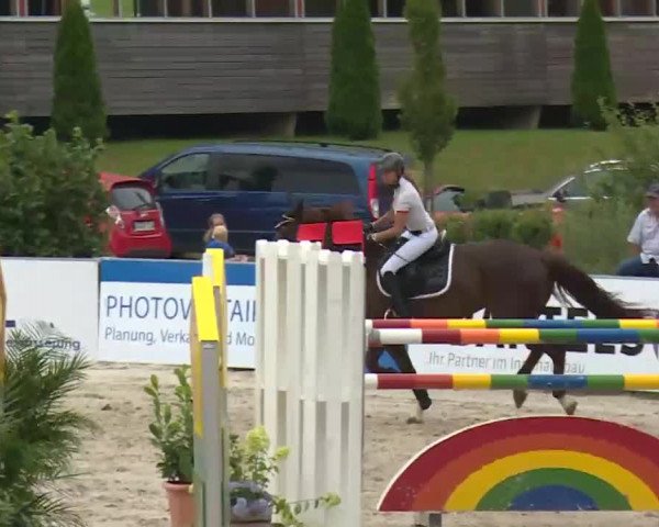 HORSE classics Killingen 2016