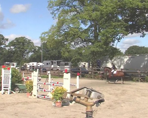 Reitturnier HH-Klein Offenseth/Hell-Stallion-Stud 2016