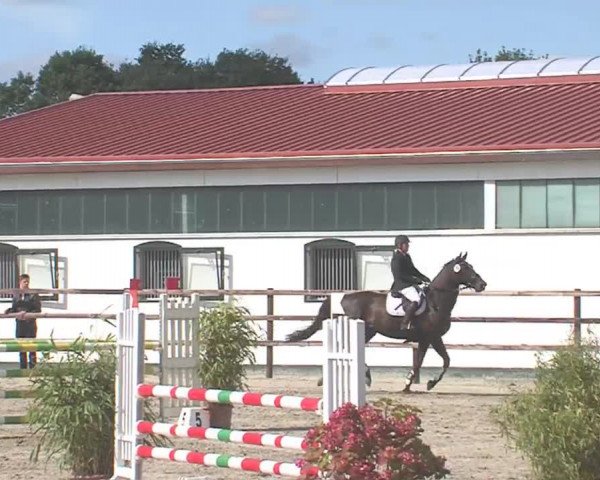 Reitturnier HH-Klein Offenseth/Hell-Stallion-Stud 2016