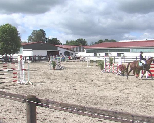 Reitturnier HH-Klein Offenseth/Hell-Stallion-Stud 2016