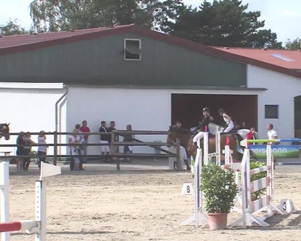 Reitturnier HH-Klein Offenseth/Hell-Stallion-Stud 2016