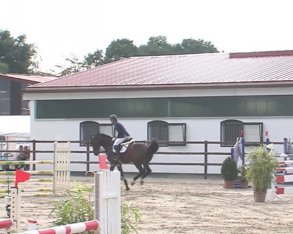 Reitturnier HH-Klein Offenseth/Hell-Stallion-Stud 2016