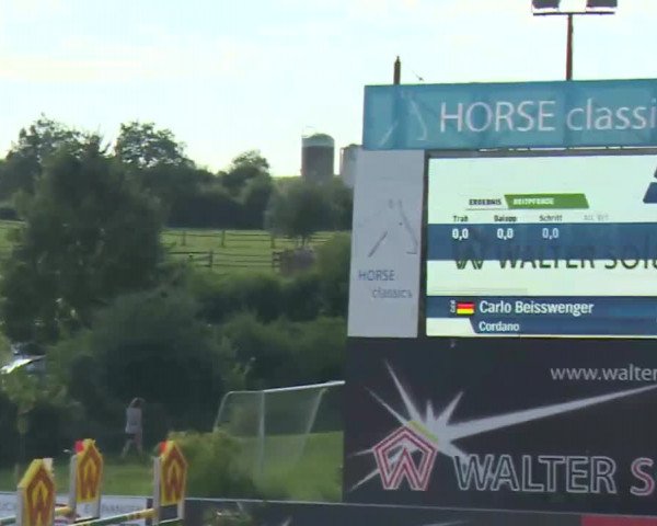 HORSE classics Killingen 2016