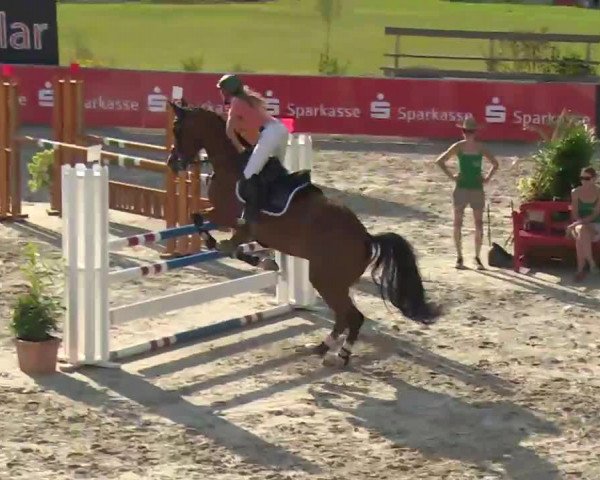 HORSE classics Killingen 2016