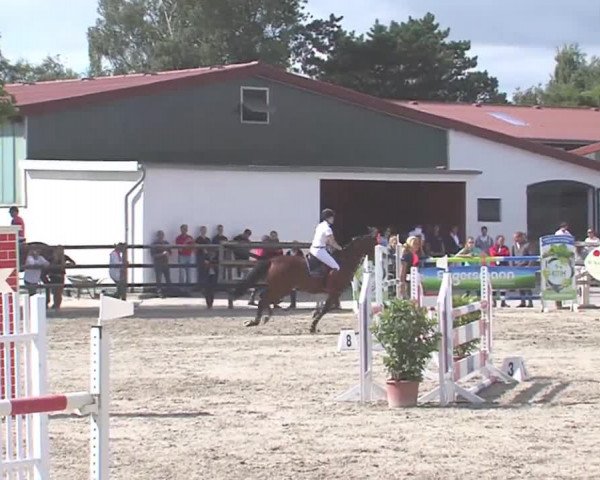 Reitturnier HH-Klein Offenseth/Hell-Stallion-Stud 2016