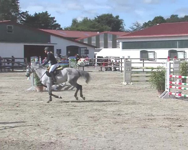 Reitturnier HH-Klein Offenseth/Hell-Stallion-Stud 2016