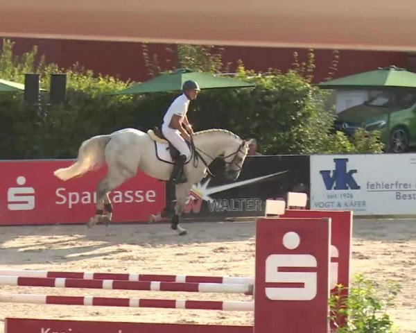HORSE classics Killingen 2016