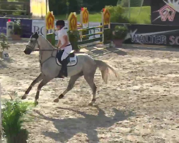 HORSE classics Killingen 2016
