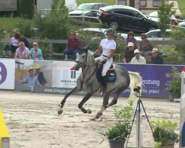HORSE classics Killingen 2016