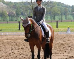 dressage horse Lee Ann 7 (unknown, 2008)