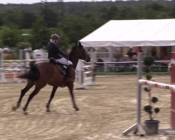 Reitturnier Menden 2016