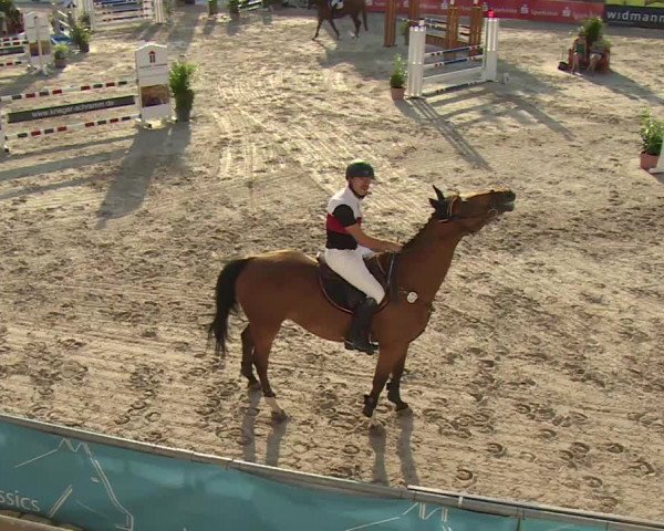 HORSE classics Killingen 2016