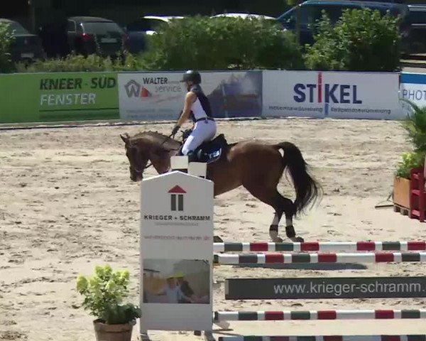 HORSE classics Killingen 2016
