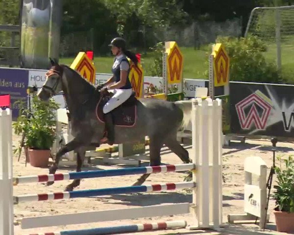 HORSE classics Killingen 2016