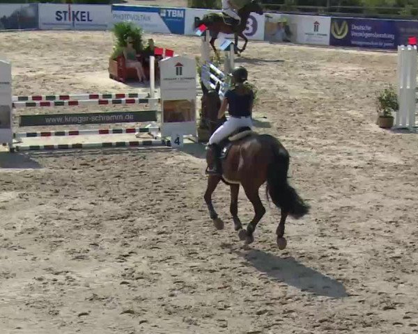 HORSE classics Killingen 2016