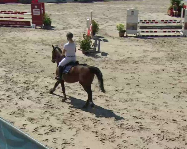 HORSE classics Killingen 2016