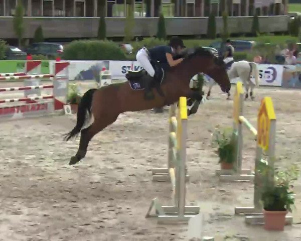 HORSE classics Killingen 2016