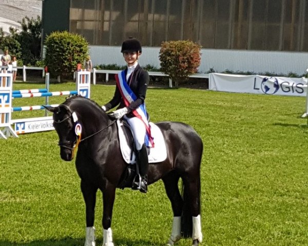 broodmare Meck Glenn (German Riding Pony, 2007, from Proud Rocketti)