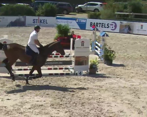 HORSE classics Killingen 2016