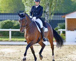 Zuchtstute Dayana HE (Hannoveraner, 2008, von Damsey FRH)