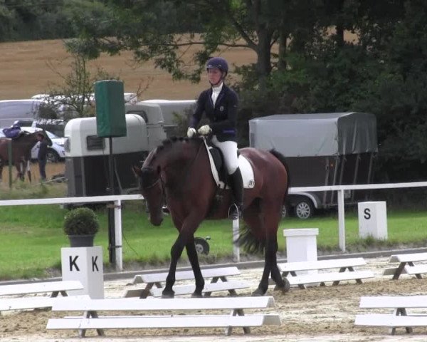 Reitturnier Menden 2016