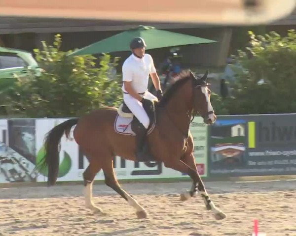 HORSE classics Killingen 2016