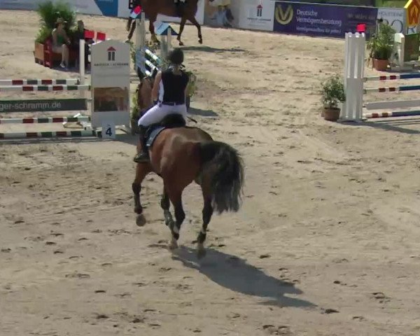 HORSE classics Killingen 2016