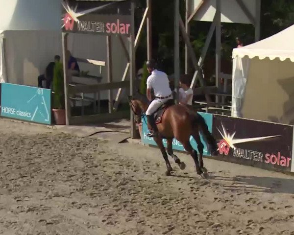 HORSE classics Killingen 2016