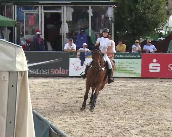 HORSE classics Killingen 2016