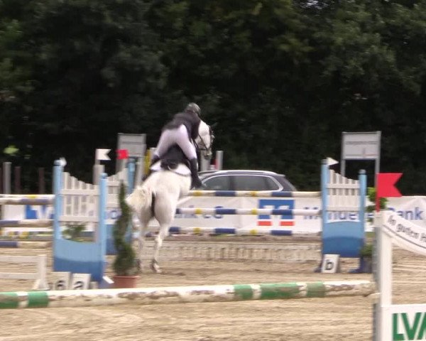 Reitturnier Menden 2016