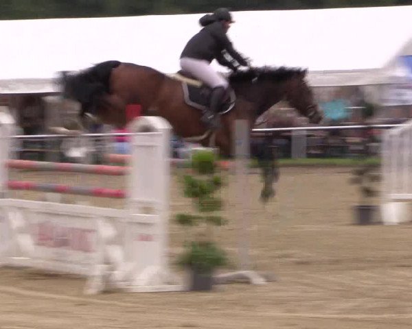 Reitturnier Menden 2016