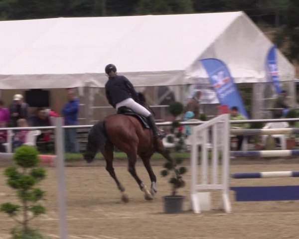 Reitturnier Menden 2016
