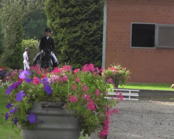 Reitturnier Datteln 2016