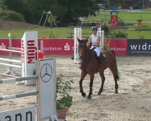HORSE classics Killingen 2016