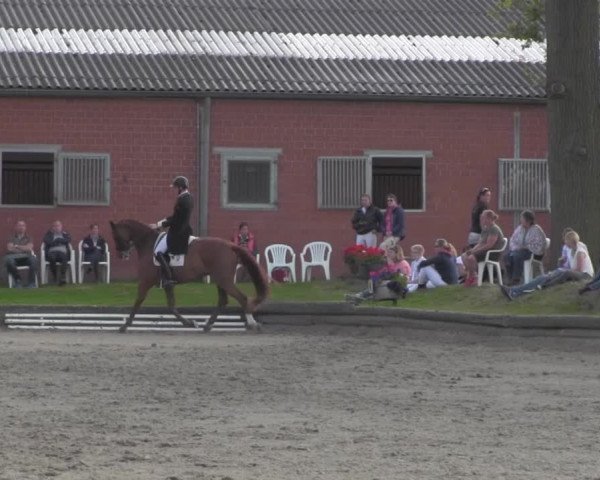 Reitturnier Datteln 2016
