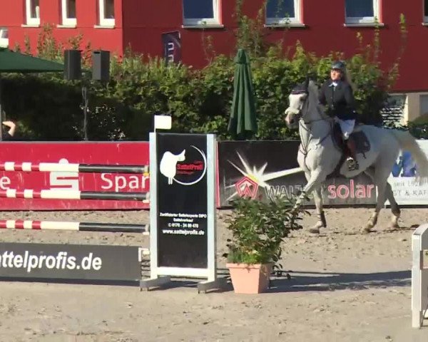 HORSE classics Killingen 2016