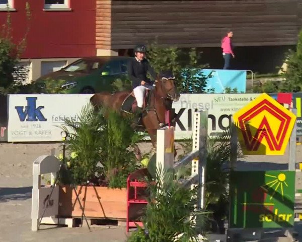 HORSE classics Killingen 2016