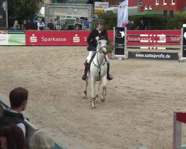 HORSE classics Killingen 2016