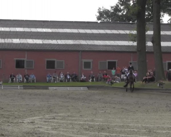 Reitturnier Datteln 2016