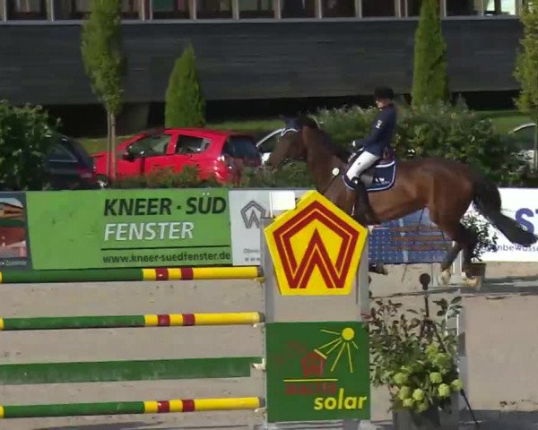 HORSE classics Killingen 2016
